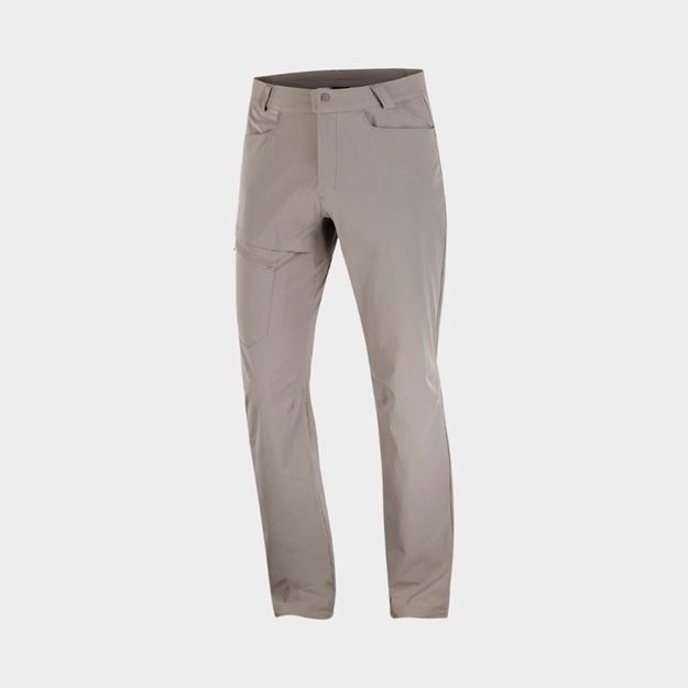 Picture of Salomon wayfarer pants for men Iron
